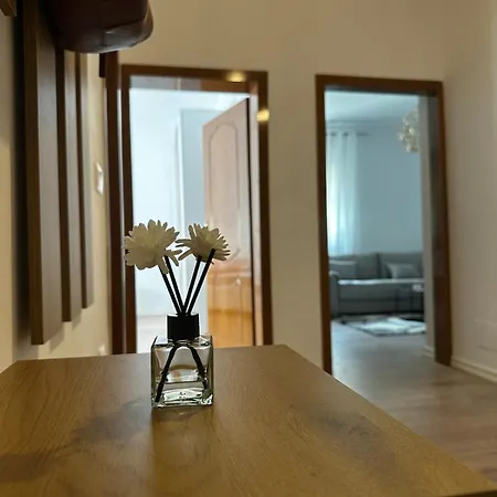 Elegant Near The Center And Stadium Daire Tiran